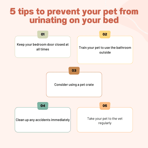 tips to prevent your pet from urinating on your bed