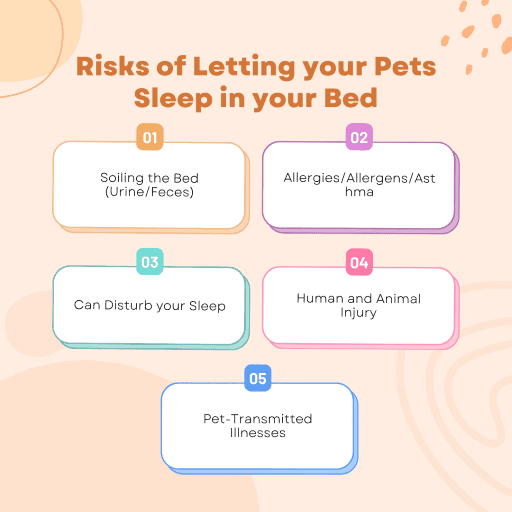 Letting your Pets Sleep in your Bed - Risks